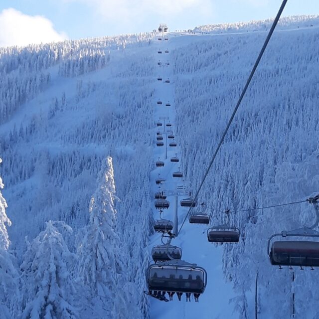 1698476924.20190107_104208 bis