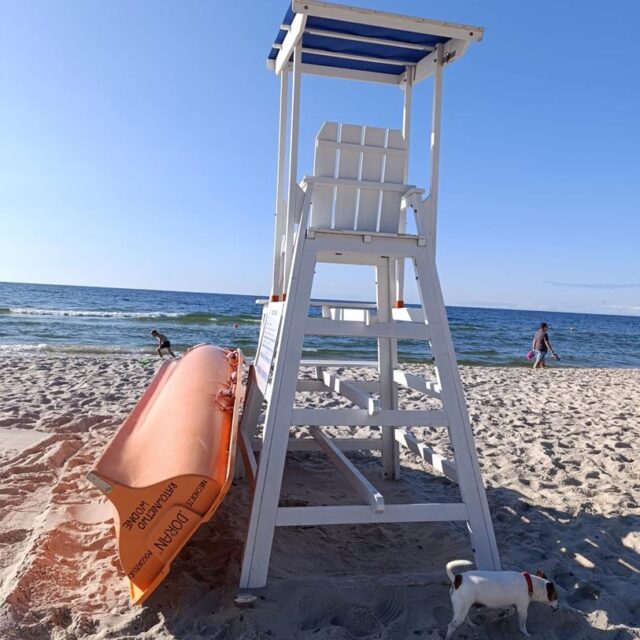 IMG-20250829-WA0123 (Copy)