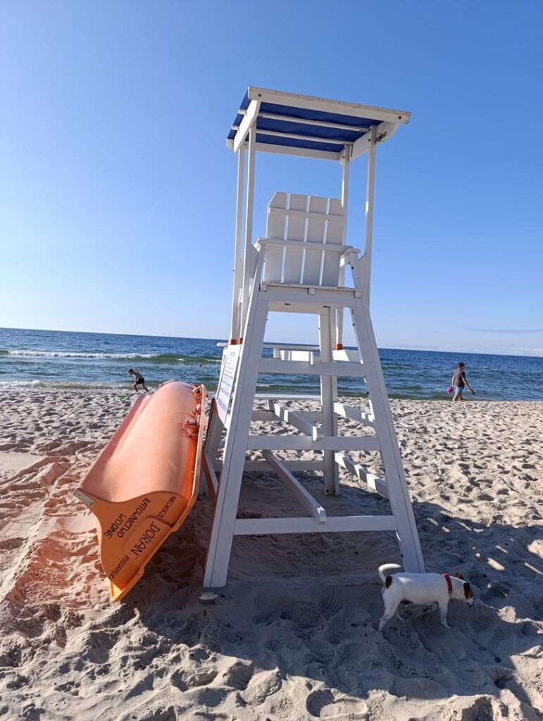 IMG-20250829-WA0123 (Copy)