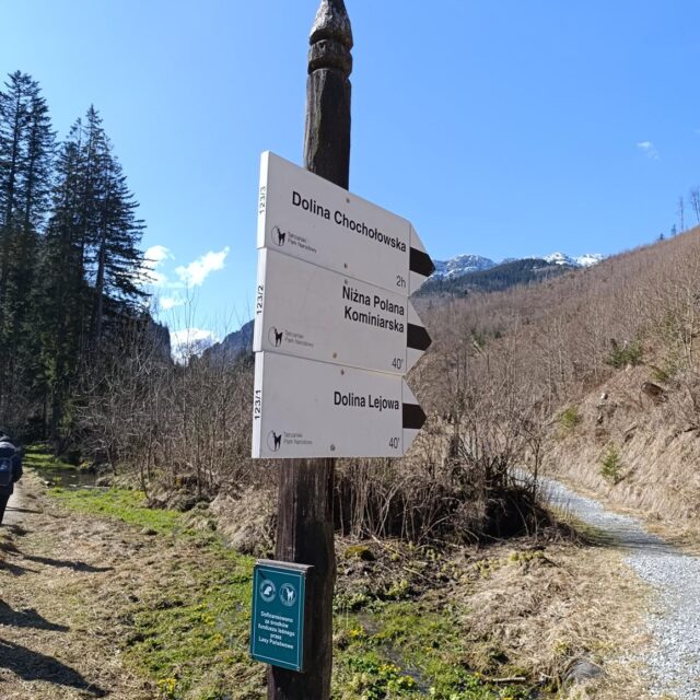 IMG_20250403_103844 (Copy)