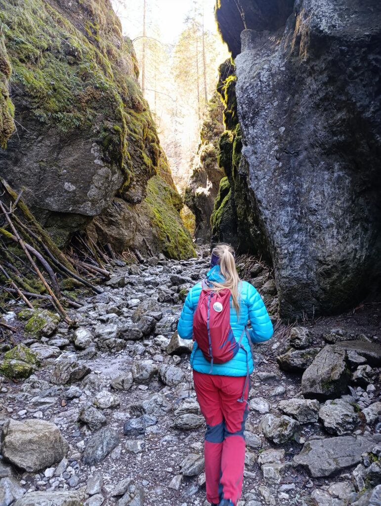 IMG_20250403_113856 (Copy)