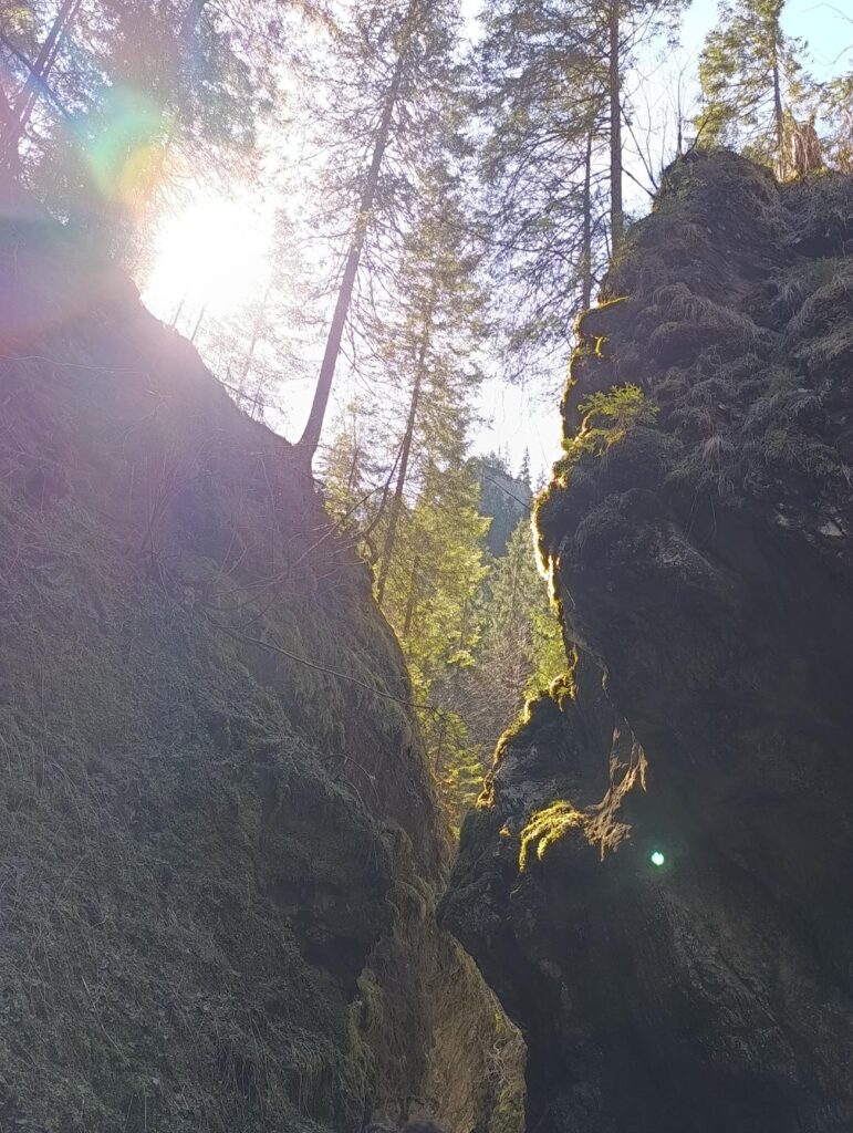 IMG_20250403_114100 (Copy)