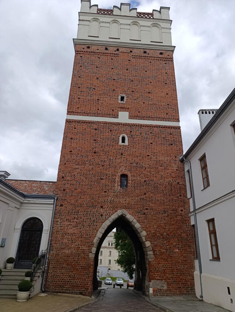 IMG_20250517_131045 (Copy)