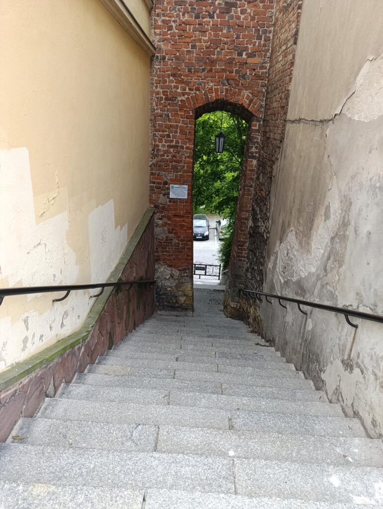 IMG_20250517_132137 (Copy)