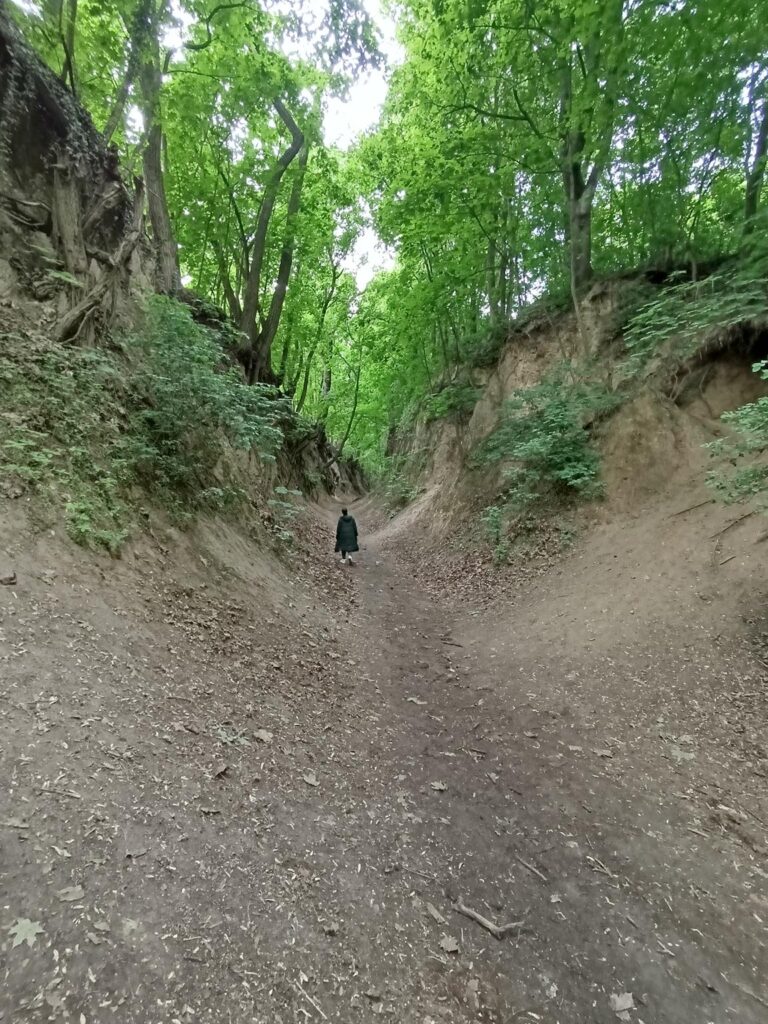 IMG_20250517_152911 (Copy)