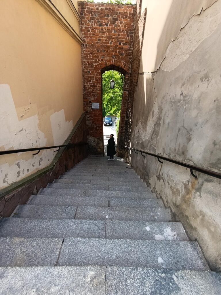 IMG_20250517_155651 (Copy)