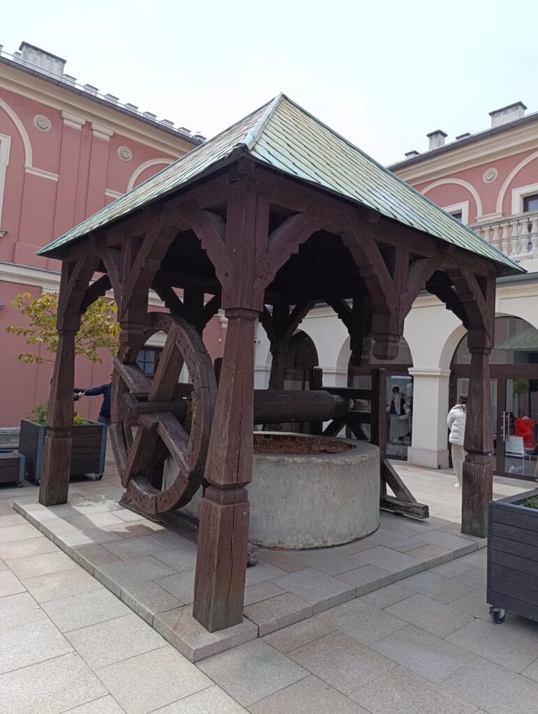 IMG_20250518_123948 (Copy)