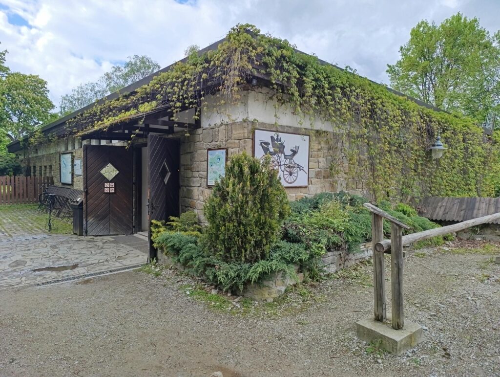 IMG_20250519_154408 (Copy)