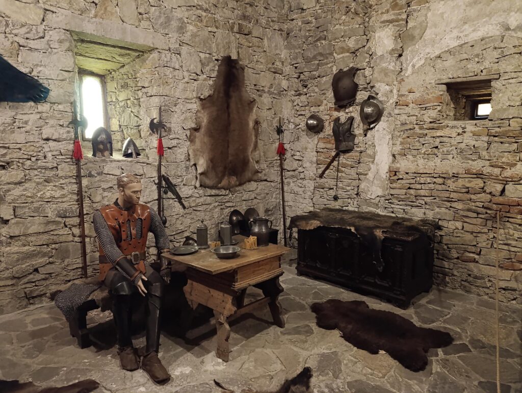 IMG_20250519_163648 (Copy)