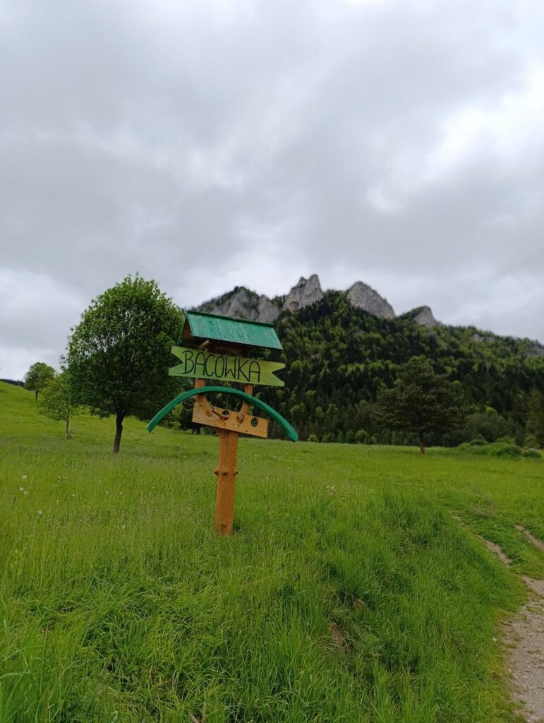 IMG_20250520_095547 (Copy)