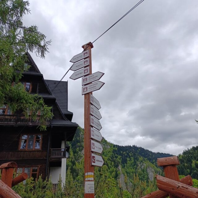 IMG_20250520_095642 (Copy)