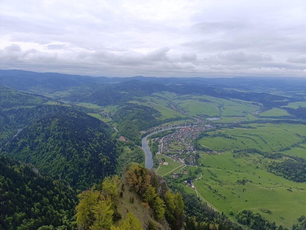 IMG_20250520_114556 (Copy)