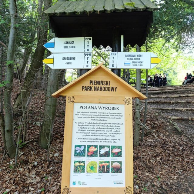 IMG_20250520_125410 (Copy)