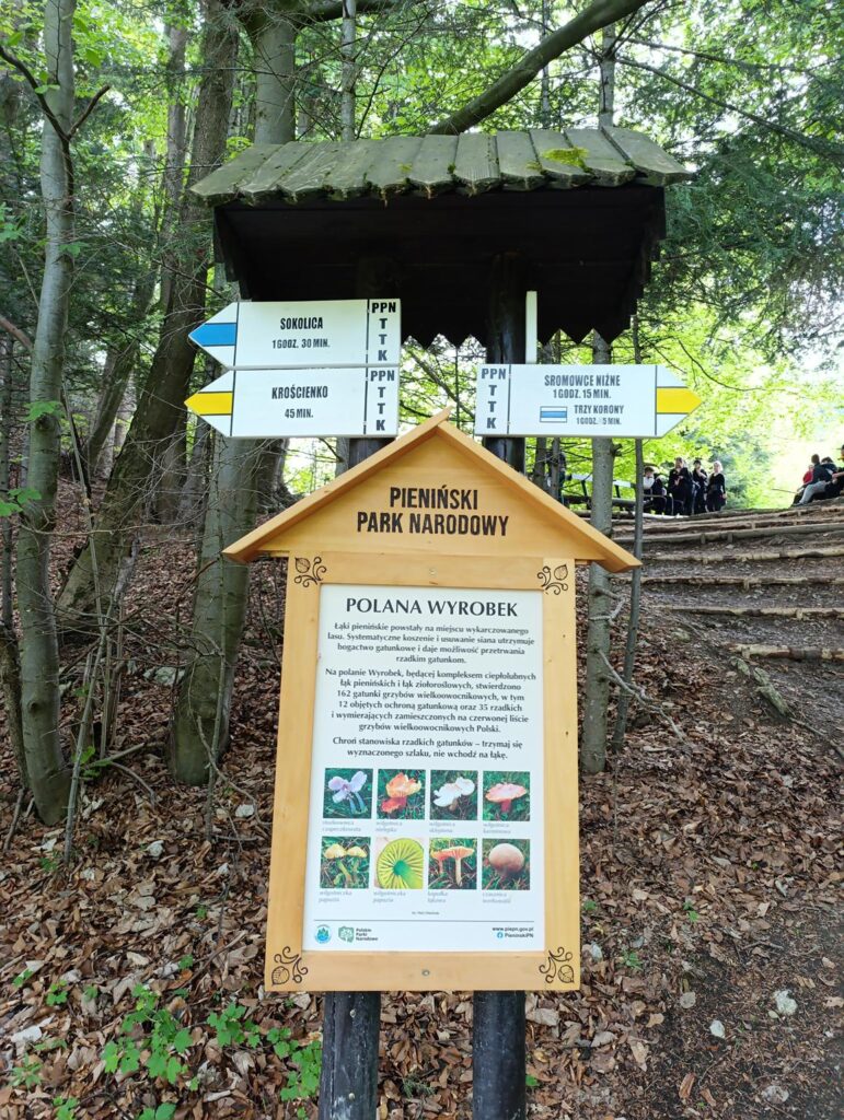 IMG_20250520_125410 (Copy)