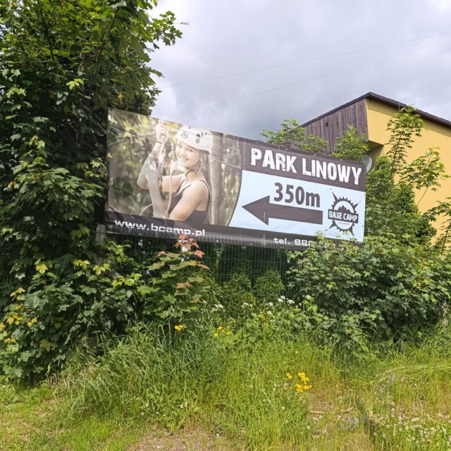 IMG_20250609_103842 (Copy)