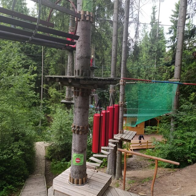 IMG_20250609_104423 (Copy)