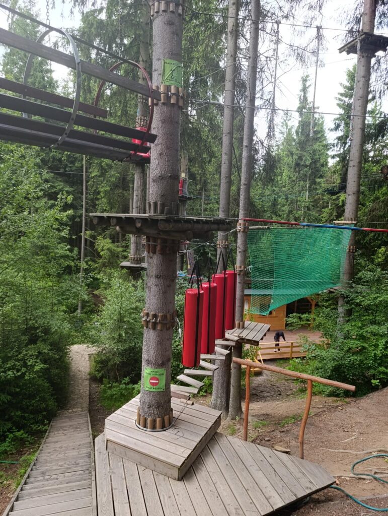 IMG_20250609_104423 (Copy)