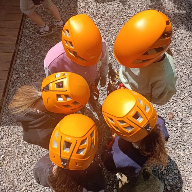 IMG_20250609_105701 (Copy)