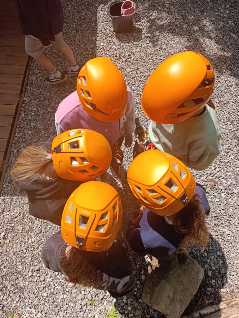 IMG_20250609_105701 (Copy)