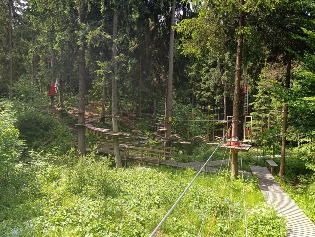 IMG_20250609_110455 (Copy)