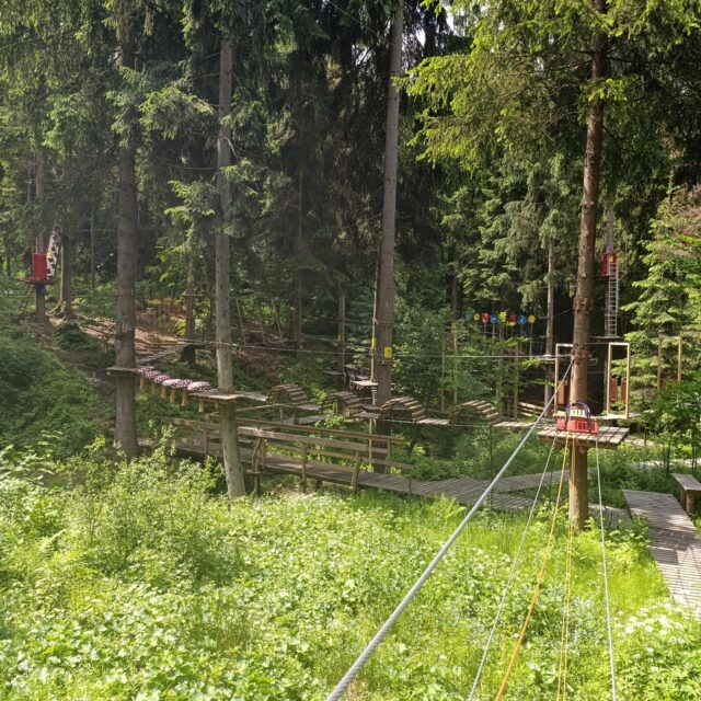 IMG_20250609_110455 (Copy)