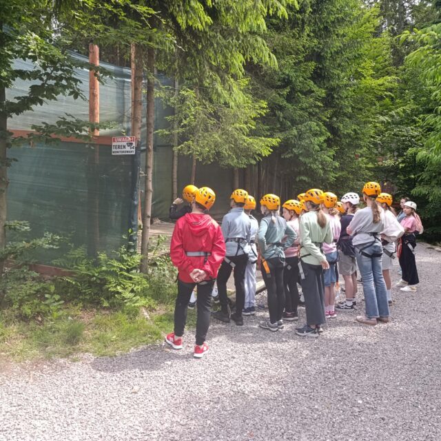 IMG_20250609_110940 (Copy)