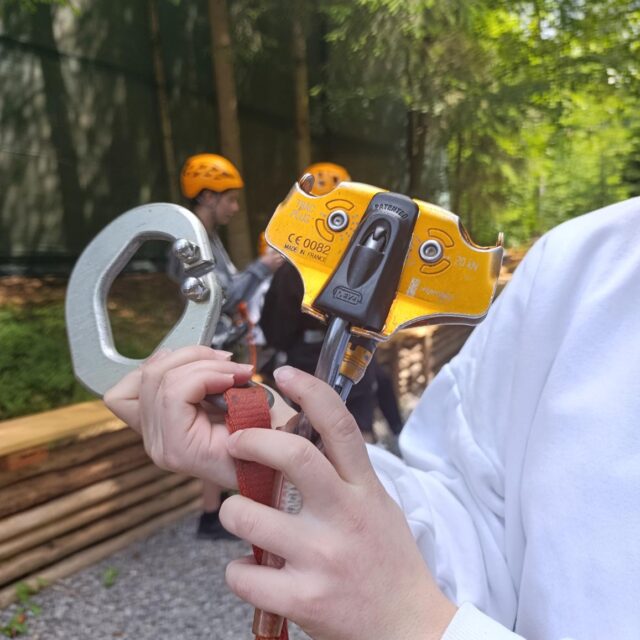 IMG_20250609_112127 (Copy)