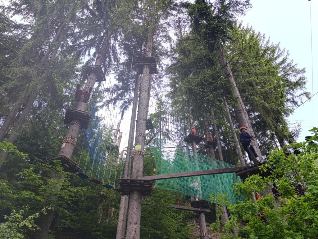 IMG_20250609_112624 (Copy)