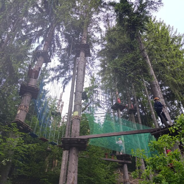 IMG_20250609_112624 (Copy)