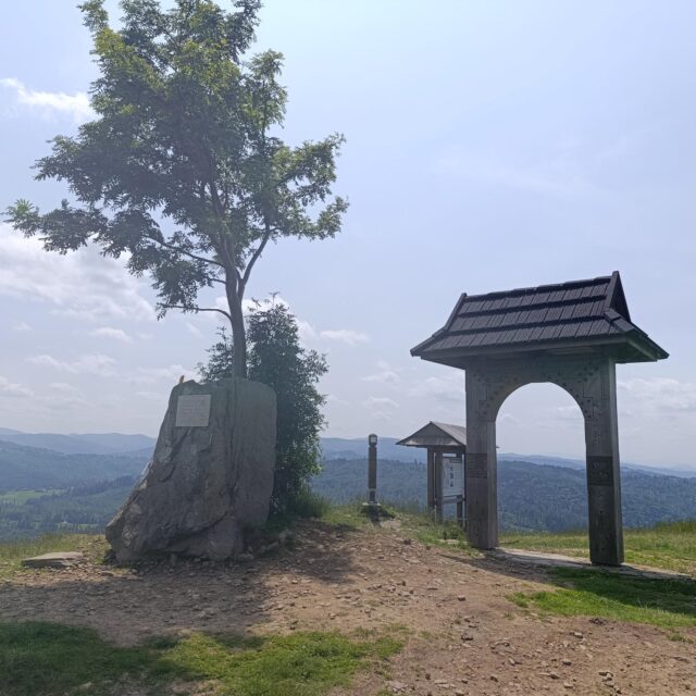 IMG_20250610_121436 (Copy)