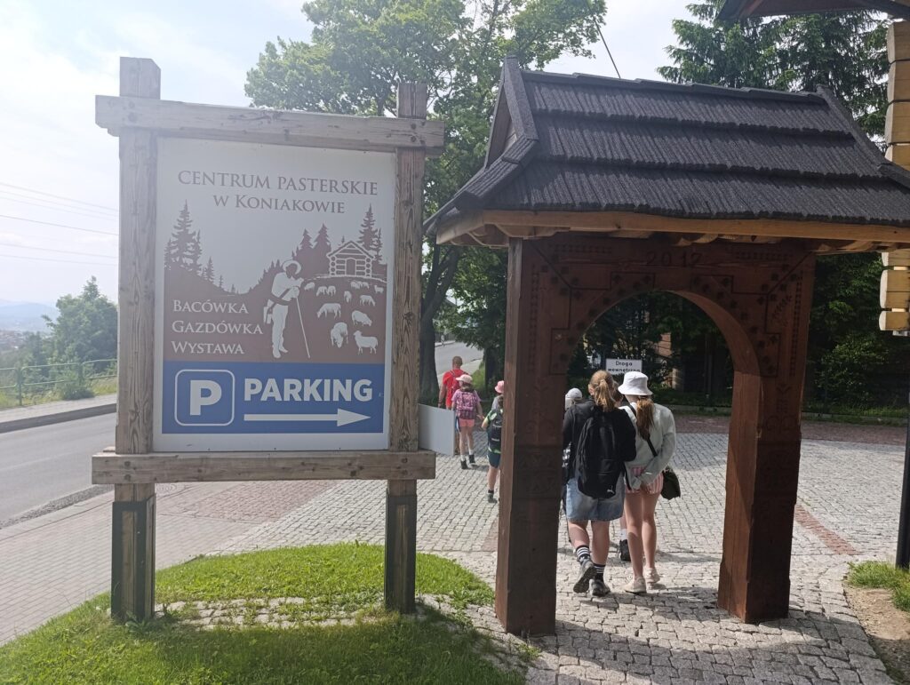 IMG_20250610_144534 (Copy)