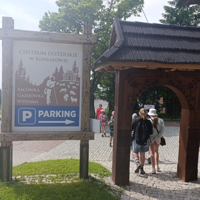 IMG_20250610_144534 (Copy)