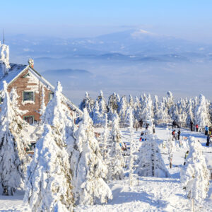 "ACTIVE SKI” - obóz snowboardowy <br>Białka Tatrzańska 2026