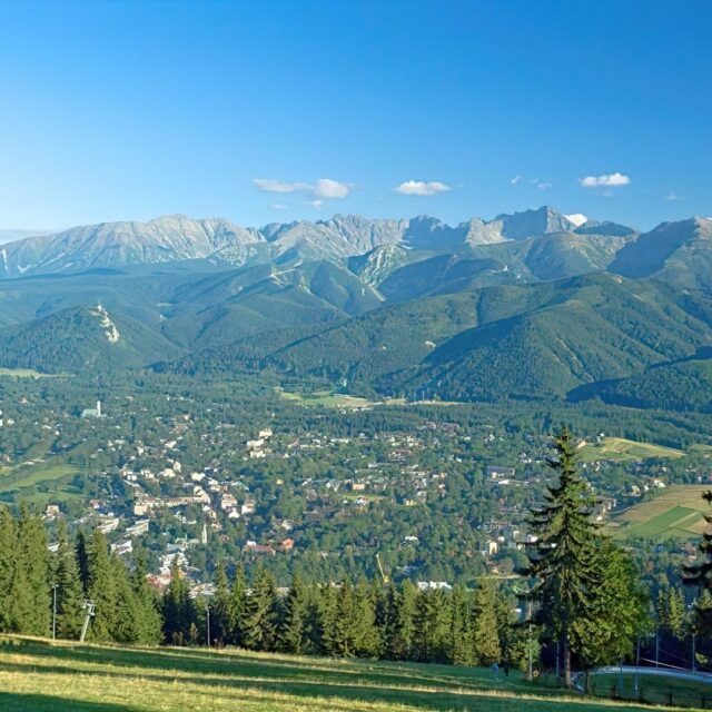 tapeciarnia.pl-41262_zakopane_gory_drzewa (Copy)